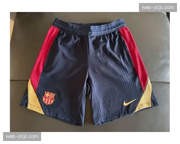 巴萨与耐克续约关键 商业收入增长47%因素分析